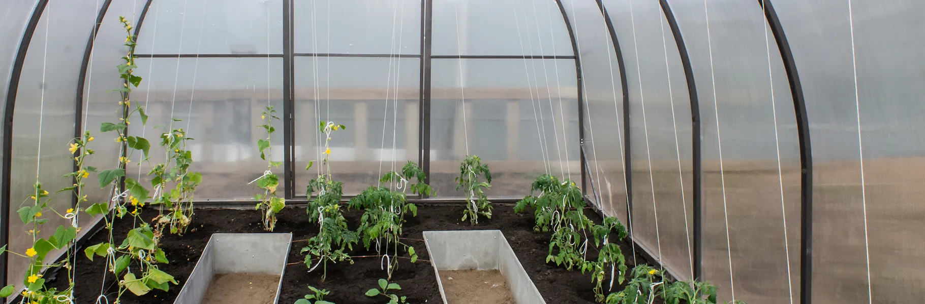 Как выбрать пленку для теплиц: советы от экспертов МАКХОК